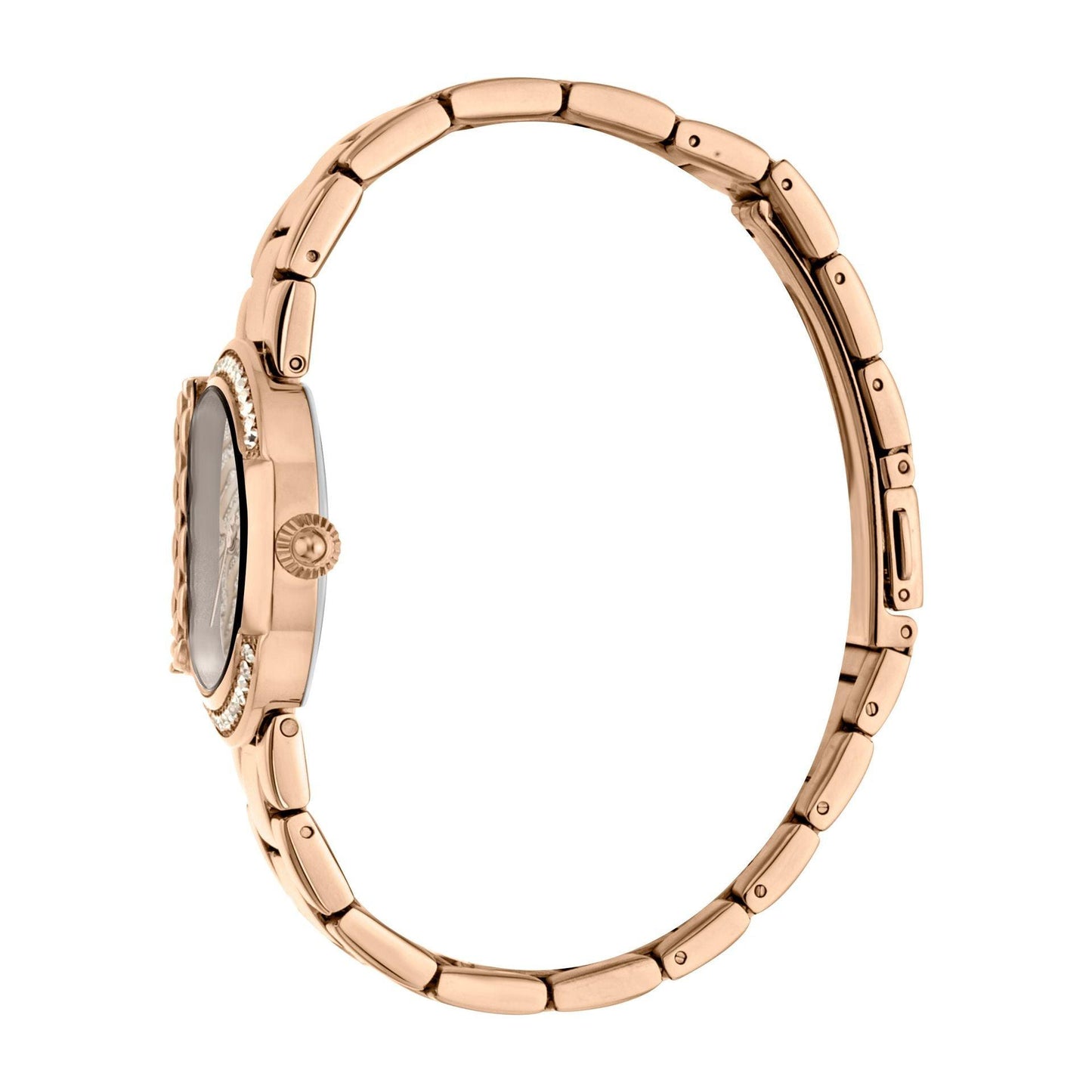 Just Cavalli Watches Carauana Store