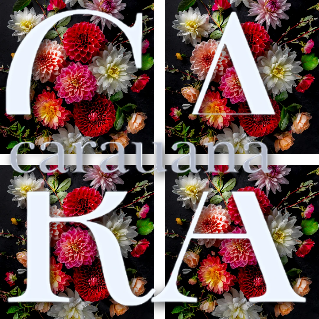 CaRaUaNa - LOW Cost - Carauana Store