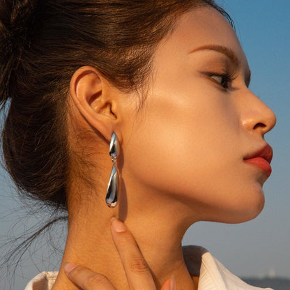 Stainless Steel Dangle Earrings Carauana Store