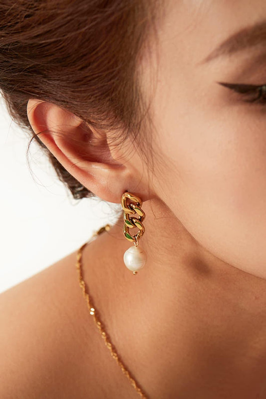 Stainless Steel Pearl Earrings Carauana Store