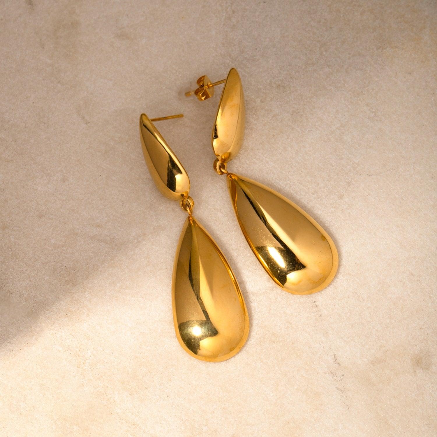 Stainless Steel Dangle Earrings Carauana Store