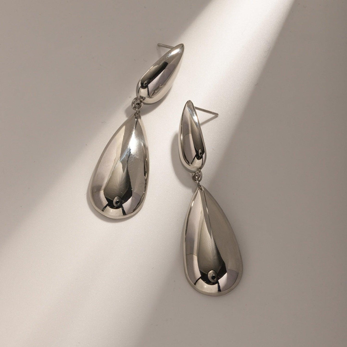 Stainless Steel Dangle Earrings Carauana Store