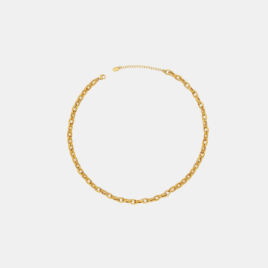 Titanium Steel Chain Necklace Carauana Store
