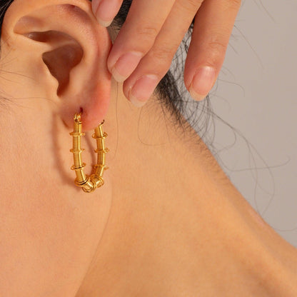 Gold-Plated Stainless Steel Hoop Earrings Carauana Store