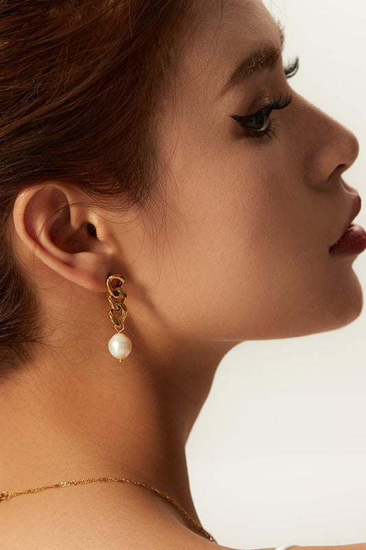 Stainless Steel Pearl Earrings Carauana Store