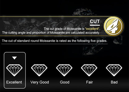 Sparkling Moissanite Tennis Chain Necklace 100% 925 Sterling Pass Diamond Test with Certificate GDTC Carauana Store
